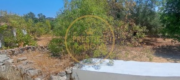 2 غرف نوم فيلا في Loule, Portugal رقم 264231 31