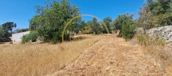 2 غرف نوم فيلا في Loule, Portugal رقم 264231 3