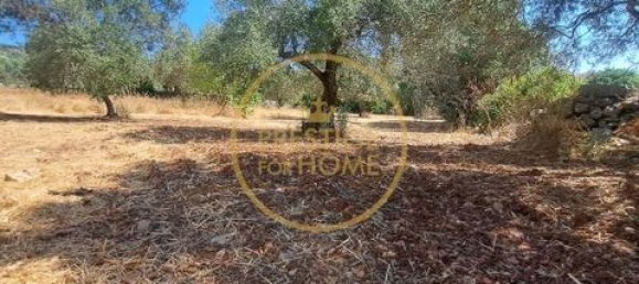 2 غرف نوم فيلا في Loule, Portugal رقم 264231 47