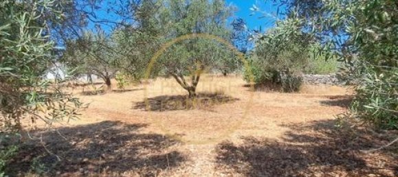 2 غرف نوم فيلا في Loule, Portugal رقم 264231 35