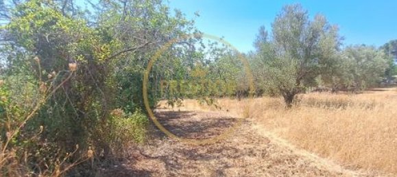 2 غرف نوم فيلا في Loule, Portugal رقم 264231 4