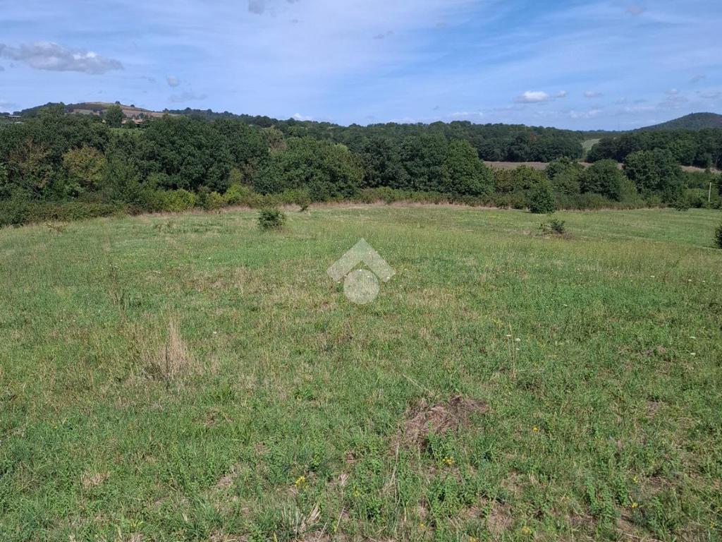 Terreno en Trevignano Romano, Italy 17000 m² No. 353013