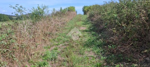 Terreno en Trevignano Romano, Italy 17000 m² No. 353013 5