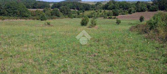 Terreno en Trevignano Romano, Italy 17000 m² No. 353013 3