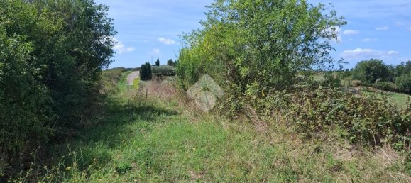 Terreno en Trevignano Romano, Italy 17000 m² No. 353013 4