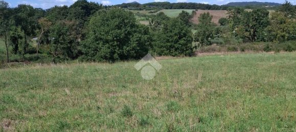 Terreno en Trevignano Romano, Italy 17000 m² No. 353013 7