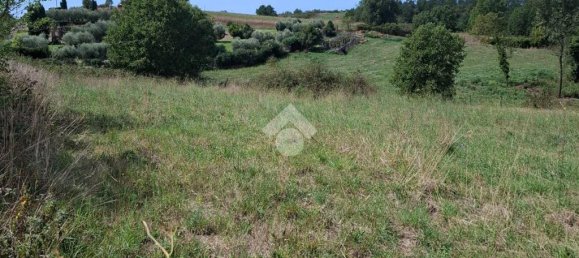 Terreno en Trevignano Romano, Italy 17000 m² No. 353013 10