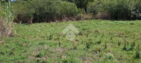 Terreno en Trevignano Romano, Italy 17000 m² No. 353013 9