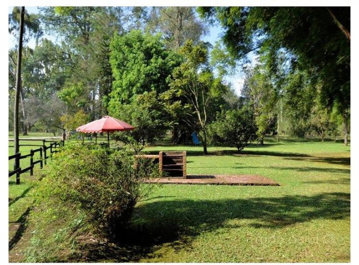 Terrain à Antioquia, Colombia No. 715