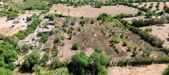 3 bedrooms House in Llucmajor, Spain No. 187073 10