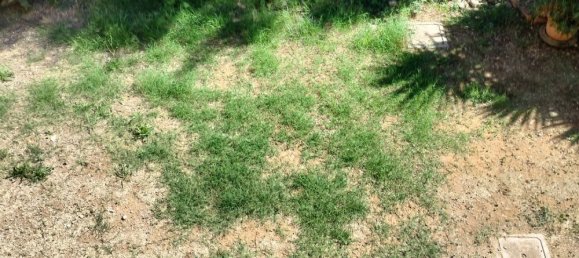 Apartamento de 4 dormitorios en Orbetello, Italy No. 326518 22