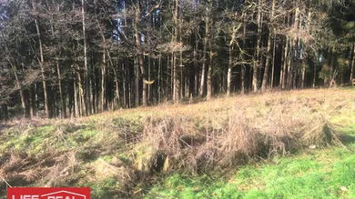 Земельный участок в Ампфльванг им Хаусруквальд, Австрия № 149711