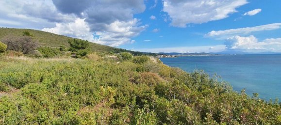 4913m² Hotel in Polygyros, Greece No. 2534 8