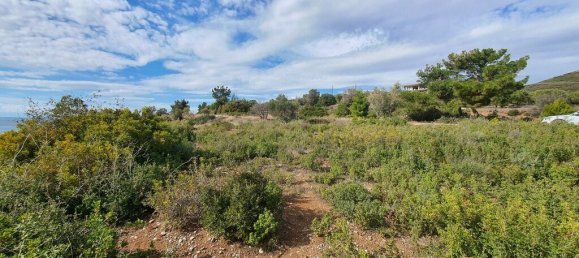 4913m² Hotel in Polygyros, Greece No. 2534 7