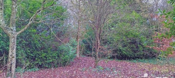 2410m² Land in Isle-Aubigny, France No. 39115 5