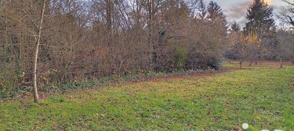 2410m² Land in Isle-Aubigny, France No. 39115 4