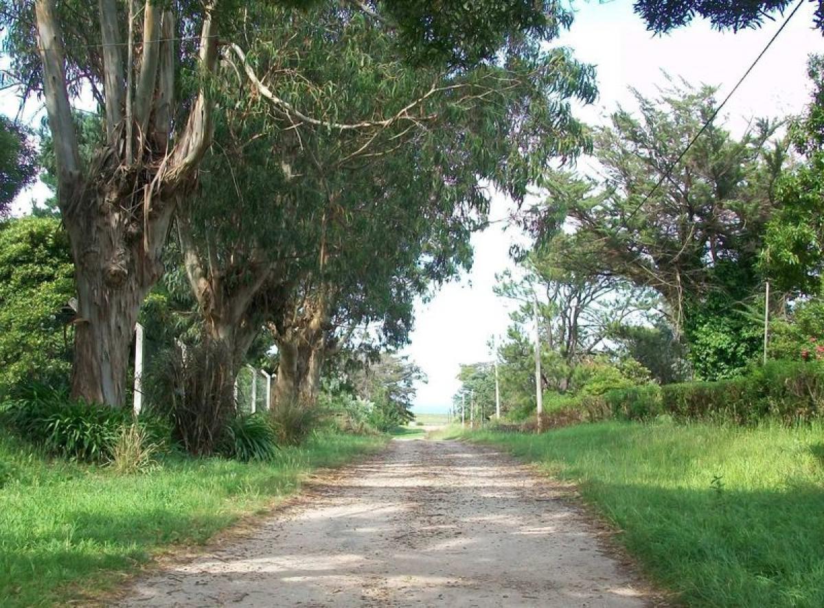  Land in Mar del Plata, Argentina No. 114430