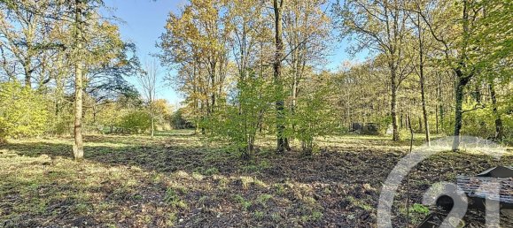 6 غرف نوم منزل في Nouan-le-Fuzelier, France رقم 159645 11