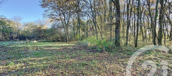 6 غرف نوم منزل في Nouan-le-Fuzelier, France رقم 159645 13