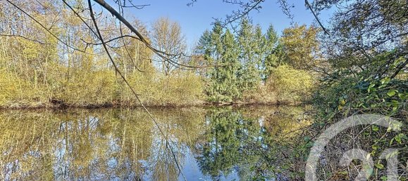 6 غرف نوم منزل في Nouan-le-Fuzelier, France رقم 159645 12