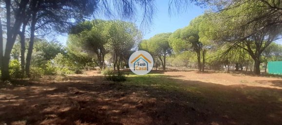 3000m² Land in Quarteira, Portugal No. 77476 10