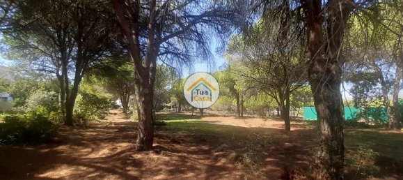 3000m² Land in Quarteira, Portugal No. 77476 11