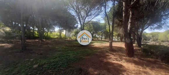 3000m² Land in Quarteira, Portugal No. 77476 6