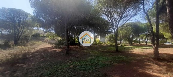 3000m² Land in Quarteira, Portugal No. 77476 4