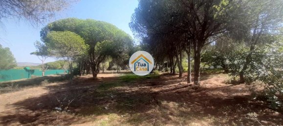3000m² Land in Quarteira, Portugal No. 77476 8