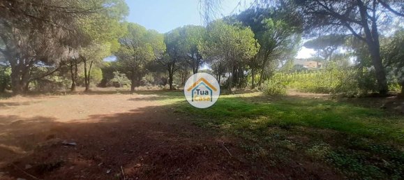 3000m² Land in Quarteira, Portugal No. 77476 3