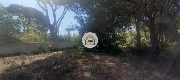 3000m² Land in Quarteira, Portugal No. 77476 7