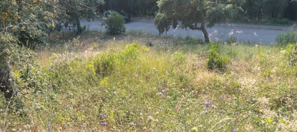 1050m² Land in Girona, Spain No. 159082 7