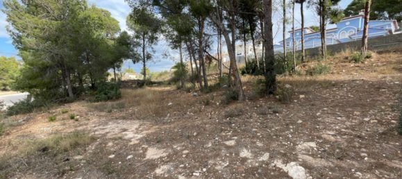 1000m² Land in Calpe, Spain No. 94652 6