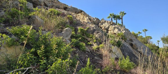  قطعة أرض في Chullera, Spain رقم 184401 7