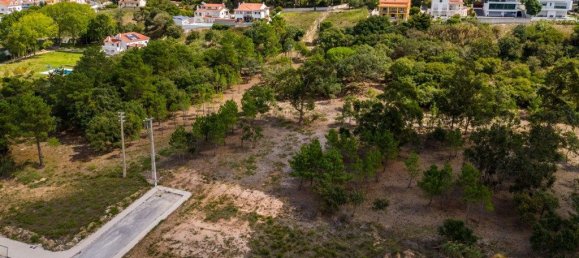 12826m² Land in Caldas da Rainha, Portugal No. 81433 10