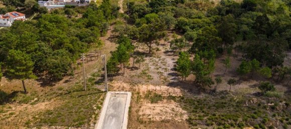 12826m² Land in Caldas da Rainha, Portugal No. 81433 14