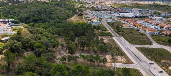 12826m² Land in Caldas da Rainha, Portugal No. 81433 4