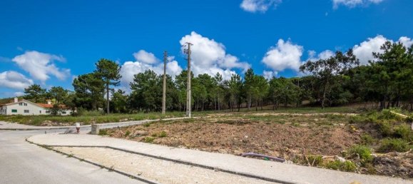 12826m² Land in Caldas da Rainha, Portugal No. 81433 26