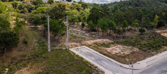 12826m² Land in Caldas da Rainha, Portugal No. 81433 12