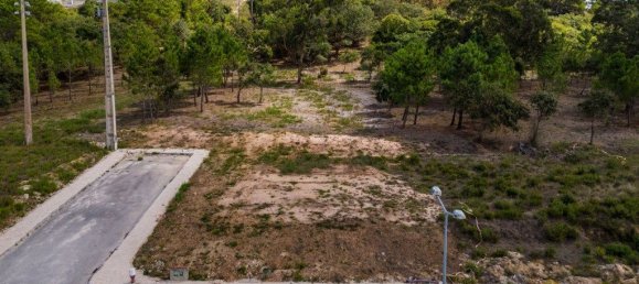 12826m² Land in Caldas da Rainha, Portugal No. 81433 11