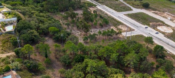 12826m² Land in Caldas da Rainha, Portugal No. 81433 5