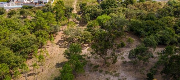 12826m² Land in Caldas da Rainha, Portugal No. 81433 13