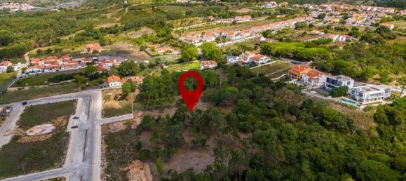 12826m² Land in Caldas da Rainha, Portugal No. 81433 23