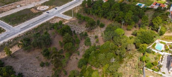 12826m² Land in Caldas da Rainha, Portugal No. 81433 8