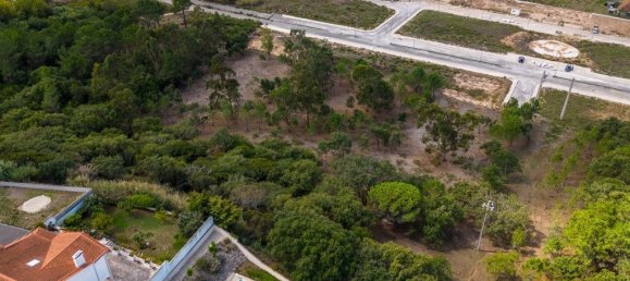 12826m² Land in Caldas da Rainha, Portugal No. 81433 7