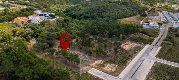 12826m² Land in Caldas da Rainha, Portugal No. 81433 19