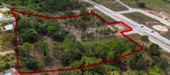 12826m² Land in Caldas da Rainha, Portugal No. 81433 15