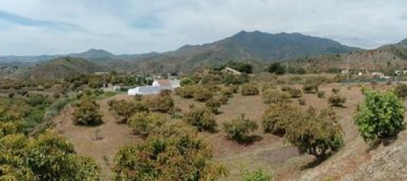 4700m² Land in Alhaurin el Grande, Spain No. 186716 3