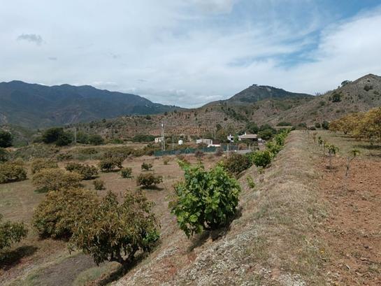 4700m² Land in Alhaurin el Grande, Spain No. 186716