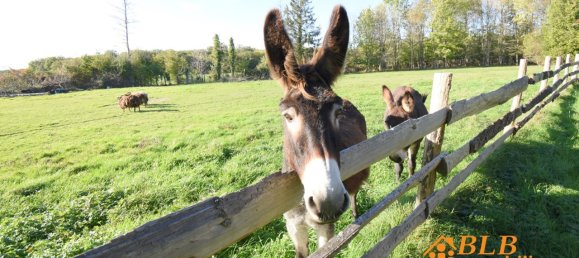 Villa T7 em Courtenay, France N.º 52262 8